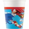 Gimtadienio indų rinkinys - Ežiukas Sonic