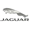 JAGUAR XK Kabriolet X150 Priekinis Bamperis Kairysis Grotelė C2P13688XXX NAUJAS ORIGINALUS
