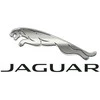 JAGUAR XK Kabriolet X150 Priekinis Bamperis Kairysis Grotelė C2P13688XXX NAUJAS ORIGINALUS