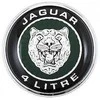 Jaguar XK8 X100 Galinių durelių bagažinės dangčio emblema Ženklas Logotipas Originalus HJB5985BD