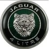 Jaguar XK8 X100 Galinių durelių bagažinės dangčio emblema Ženklas Logotipas Originalus HJB5985BD