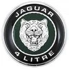 Jaguar XK8 X100 Galinių durelių bagažinės dangčio emblema Ženklas Logotipas Originalus HJB5985BD