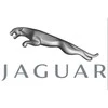 LAND ROVER JAGUAR F-PACE X761 Priekinio Kairio Durų Rankenos Dangtelis LR048299 Naujas Originalus