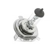 MAGNETI MARELLI Lemputė, prožektorius 002555100000