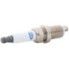 MAGNETI MARELLI uždegimo žvakė 062511000010 101000005AE