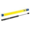 MAGNETI MARELLI Užpakalinių durų statramsčiai 430719071200 817700X000
