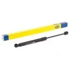 MAGNETI MARELLI Užpakalinių durų statramsčiai 430719104900 81850M68K00