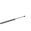 MAGNETI MARELLI Užpakalinių durų statramstis 430719015900 7925.15