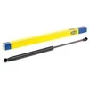 MAGNETI MARELLI Užpakalinių durų statramstis 430719015900 7925.15