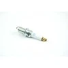 Mercedes Benz 300SE 230 250 280 SL Platininė Uždegimo Žvakė Originalus A0031599403