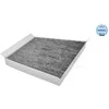 MEYLE filtras, salono oro filtras 0123200006 01V409057