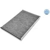 MEYLE filtras, salono oro filtras 0123200038 01V409057
