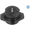 MEYLE montavimas, automatinė pavarų dėžė Vw Transporter 1001300005 701399201H