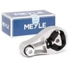 Meyle Variklio Guoliu Apatinis Priekinis Smart Fortwo Cabrio 451 Smart Fortwo Coupe 451 A1322200248 A4512400109