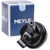 MEYLE variklio laikiklis 1001990003 191199279C