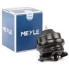 MEYLE variklio laikiklis 1001990015 191199279C