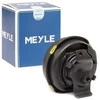 MEYLE variklio laikiklis 1001990021 191199279C