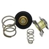 Naujas originalus Jaguar termostatas AJ811788 OEM