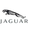 Naujas originalus Jaguar vamzdis C2Z18658 OEM