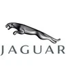 Naujas originalus Jaguar vamzdis C2Z18658 OEM