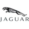 Naujas originalus Jaguar vamzdžio išleidimas AJ813865 OEM