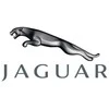 Naujas originalus Jaguar žarna C2Z4547 OEM