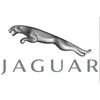 OEM JAGUAR F-PACE X761 GAUBTAI T4A13702 ORIGINALUS