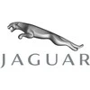 OEM JAGUAR XE X760 PRIEKINIŲ DEŠINIŲ DURŲ VEIDRODŽIO KAPOTĖLIS C2Z4412 ORIGINALUS