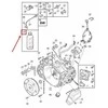 OEM VOLVO S40 MK2 PAVARŲ DĖŽĖS ALIEJUS 4L 31256775 ORIGINALUS