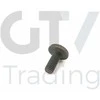 Originalus BMW 1 2 3 4 5 6 7 X1 X3 X4 X5 X6 Z4 2005 ir vėliau Torx varžtas 11417520144