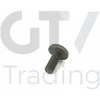 Originalus BMW 1 2 3 4 5 6 7 X1 X3 X4 X5 X6 Z4 2005 ir vėliau Torx varžtas 11417520144