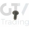 Originalus BMW 1 2 3 4 5 6 7 X1 X3 X4 X5 X6 Z4 2005 ir vėliau Torx varžtas 11417520144