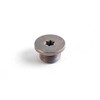 Originalus BMW E39 E46 Z3 kupė Individualus vidinis Torx varžto kištukas OEM 24111423986