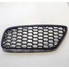 Originalus BMW F07N priekinis bamperio rūko žibinto groteles N/S OEM 51118057331