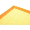 Originalus BMW F20 F20N F21 F21N F22 variklio oro filtro įdėklas OEM 13718511668