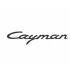 Originalus PORSCHE Cayman 981C Įrašas 98155923901