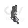 Originalus TOYOTA 15-16 RC350 Priekinis Bamperis Apatinis Grotelės 5310224100