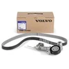 Originalus "Volvo" V formos diržų rinkinys 31480361
