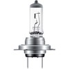 OSRAM lemputė, prožektorius 64210 161949111