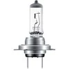 OSRAM lemputė, prožektorius 64210 161949111