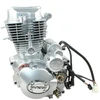 Other KETURRAČIO VARIKLIS CG 250 AC 167FMM SHINERAY 4 PAVAROS + ATBULINĖ EIGA HB