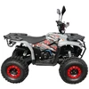 Other KETURRATIS ATV 125 SEEYA BLAZER B6 PILKA-RAUDONA PAVARA 1+1 8 col. PLIENINIAI RATLANKIAI