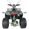 Other QUAD ATV 125 SEEYA PAROON P6 PILKAI ŽALIA 1+1 GEEARS 8'' ALUMINIUMINIAI ratlankiai