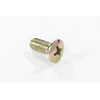 Other ROTORIO DANGTELIO VARŽTAS ALYVOS FILTRAS M5x12mm YANKEE D125