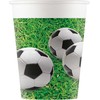 OTHER Vienkartinių indų rinkinys - futbolas 0657039308746