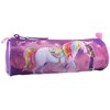 Pieštukų dėklas Unicorn Academy, 21cm