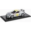 PORSCHE Porsche 718 Cayman GT4 RS (982) – Ribota leidimas