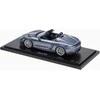 PORSCHE Porsche 718 Spyder RS (982) – Ribota leidimas