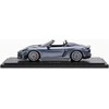 PORSCHE Porsche 718 Spyder RS (982) – Ribota leidimas