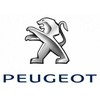Psa Parts PEUGEOT 308 T7 Vandens vamzdis 1341K4 NAUJAS ORIGINALUS